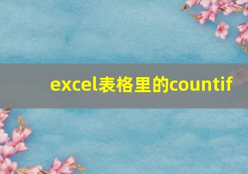 excel表格里的countif