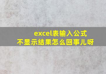 excel表输入公式不显示结果怎么回事儿呀