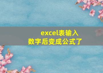 excel表输入数字后变成公式了