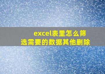 excel表里怎么筛选需要的数据其他删除