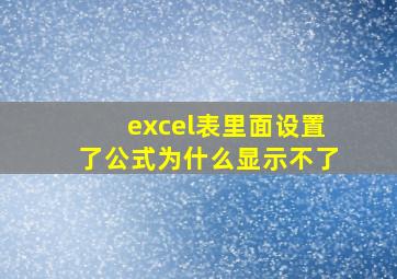 excel表里面设置了公式为什么显示不了