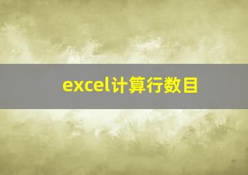 excel计算行数目