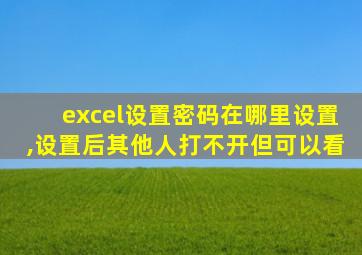 excel设置密码在哪里设置,设置后其他人打不开但可以看