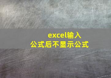 excel输入公式后不显示公式