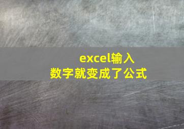 excel输入数字就变成了公式