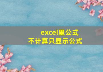 excel里公式不计算只显示公式