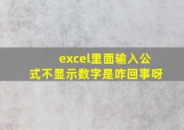 excel里面输入公式不显示数字是咋回事呀