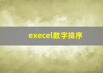 execel数字排序