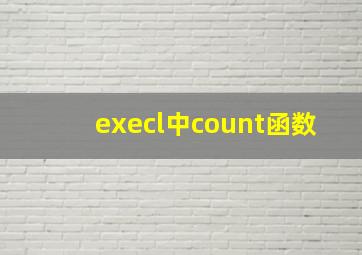 execl中count函数