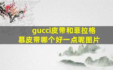 gucci皮带和菲拉格慕皮带哪个好一点呢图片