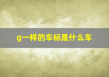 g一样的车标是什么车