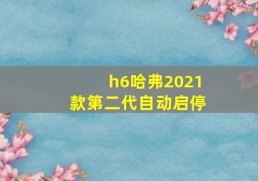 h6哈弗2021款第二代自动启停