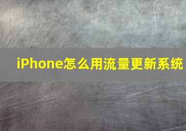 iPhone怎么用流量更新系统