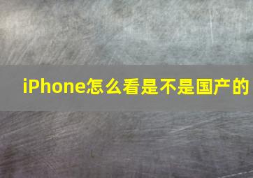 iPhone怎么看是不是国产的