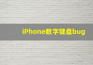 iPhone数字键盘bug