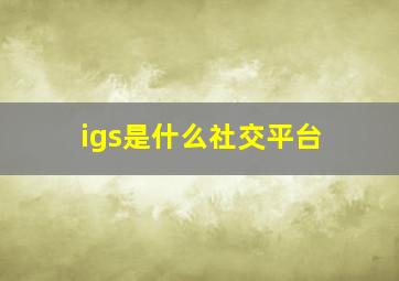 igs是什么社交平台