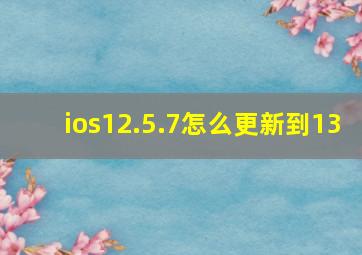 ios12.5.7怎么更新到13