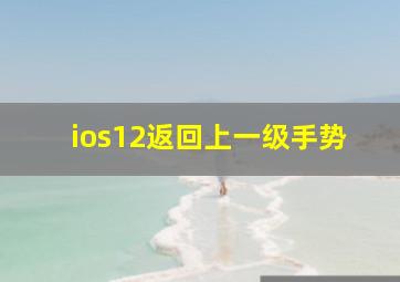 ios12返回上一级手势