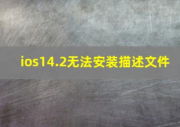 ios14.2无法安装描述文件