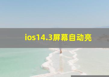 ios14.3屏幕自动亮