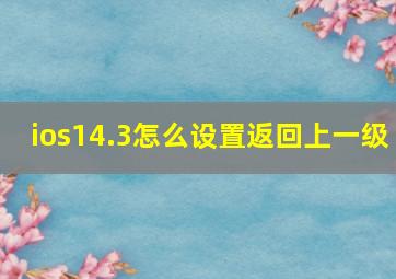 ios14.3怎么设置返回上一级