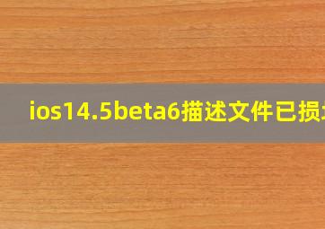 ios14.5beta6描述文件已损坏