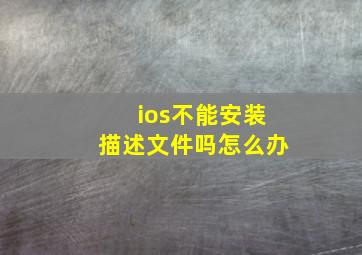 ios不能安装描述文件吗怎么办