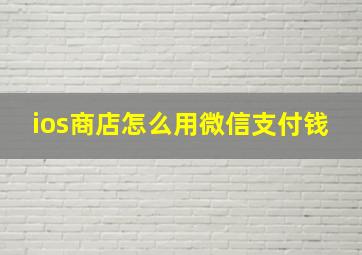 ios商店怎么用微信支付钱