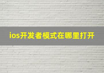 ios开发者模式在哪里打开