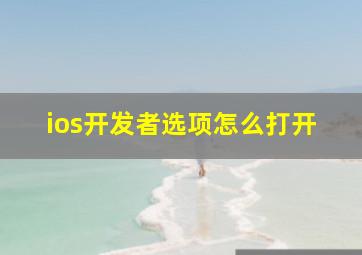 ios开发者选项怎么打开