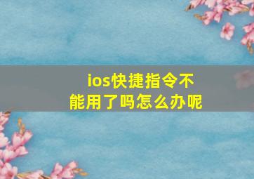 ios快捷指令不能用了吗怎么办呢