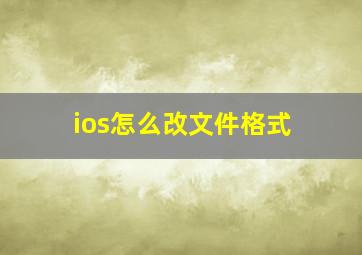 ios怎么改文件格式