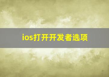 ios打开开发者选项