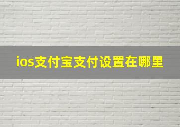 ios支付宝支付设置在哪里