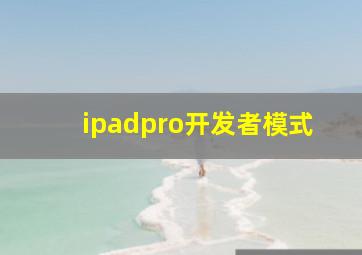 ipadpro开发者模式