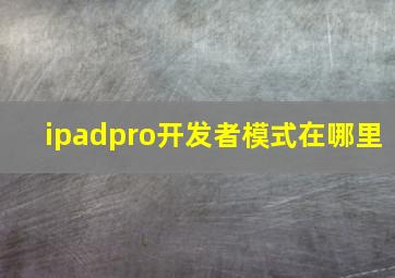 ipadpro开发者模式在哪里