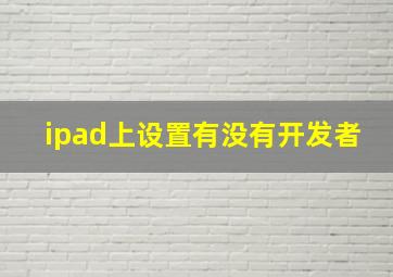 ipad上设置有没有开发者