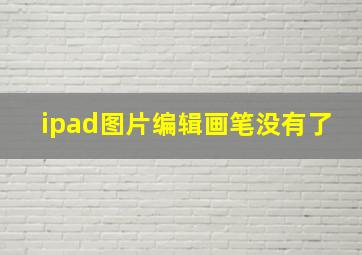 ipad图片编辑画笔没有了