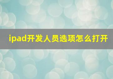 ipad开发人员选项怎么打开