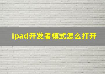 ipad开发者模式怎么打开