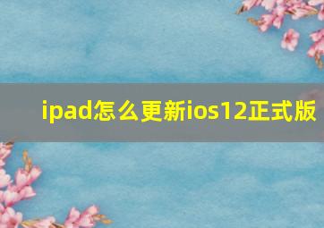 ipad怎么更新ios12正式版