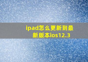 ipad怎么更新到最新版本ios12.3