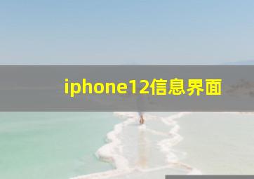 iphone12信息界面