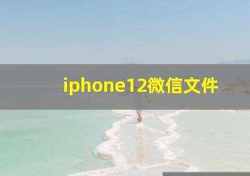 iphone12微信文件