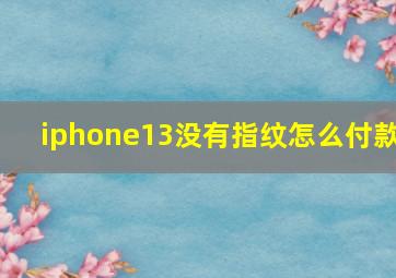 iphone13没有指纹怎么付款