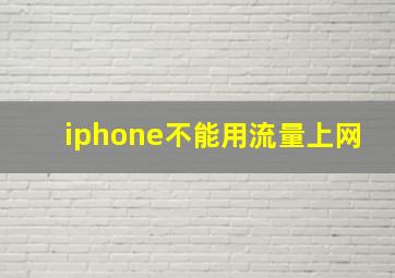 iphone不能用流量上网