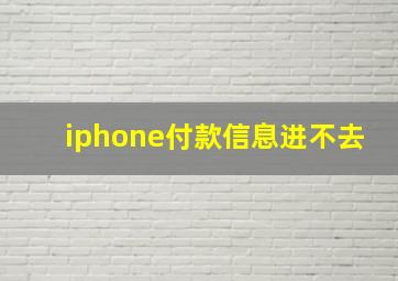 iphone付款信息进不去