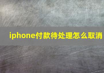 iphone付款待处理怎么取消