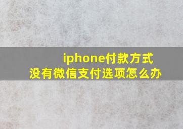 iphone付款方式没有微信支付选项怎么办