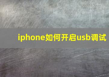 iphone如何开启usb调试